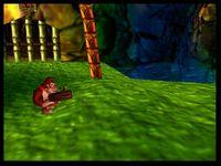 Donkey Kong 64 sur Nintendo 64